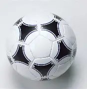 克雷伯菌废,水分离株携,带多型新质,ebpay官网下载app,ebpay下载,ebpay官网