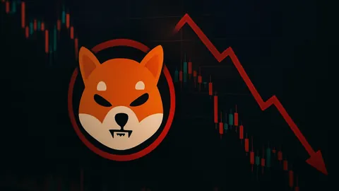 易建联荣膺中国男篮领袖，助力2025篮球世界杯中国男篮奋勇争先