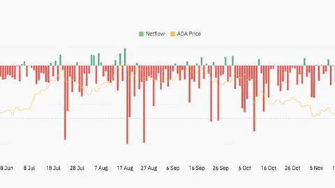 郑州网球赛事火热启动，顶尖选手顺利晋级下一轮